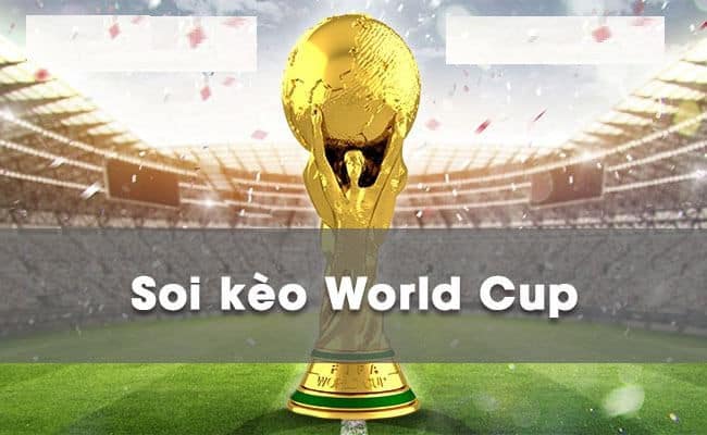 Các kèo ngon World Cup 2022 bạn nên biết